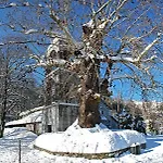 Country house Traditional Stone House In Pelion Kissos (Thessaly)
