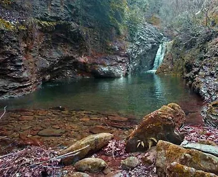 Traditional Stone House In Pelion Gospodarstwo wiejskie *