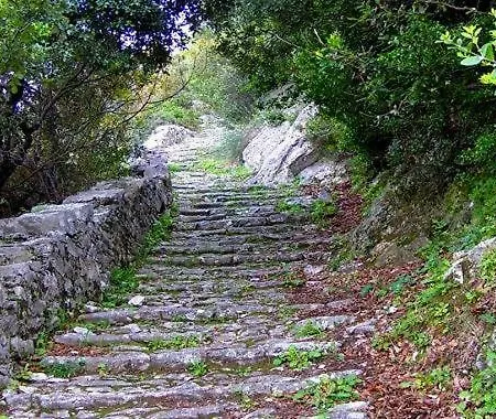 Casa di campagna Traditional Stone House In Pelion *