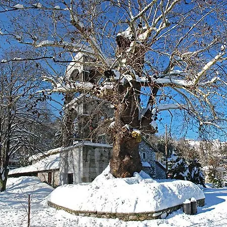 Casa di campagna Traditional Stone House In Pelion Kissos (Thessaly)