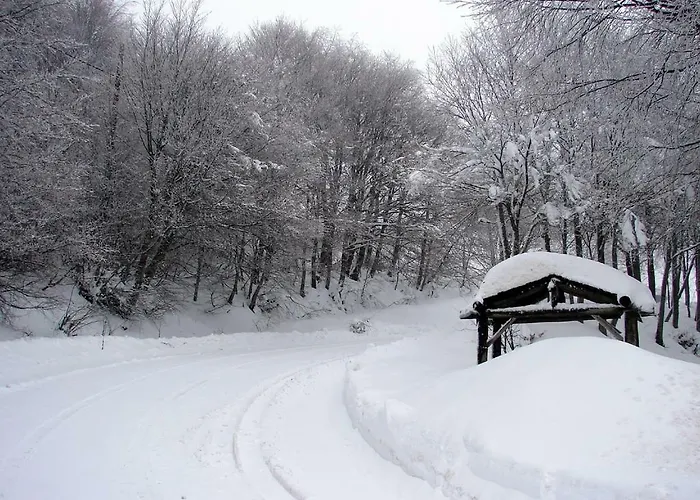 Traditional Stone House In Pelion Летний дом *