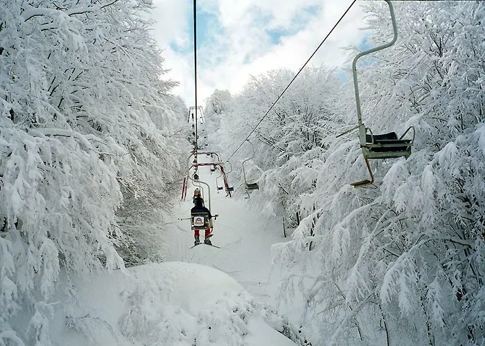 Летний дом Traditional Stone House In Pelion Киссос